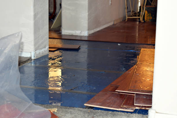 Professional Sewage Cleanup technician working in Minden City, MI