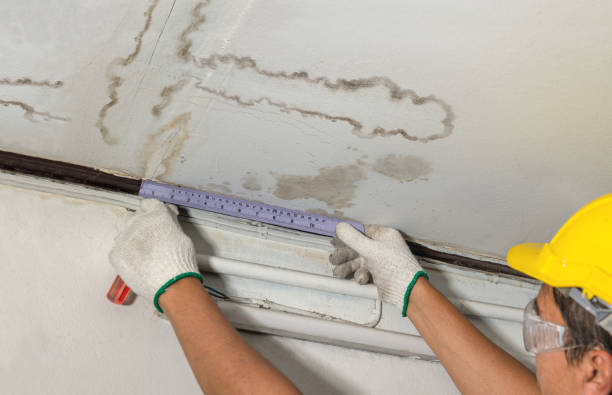 Reliable Sewage Cleanup contractor in Minden City, MI by Aqua Guard Water Damage